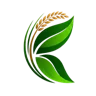 Kroply logo
